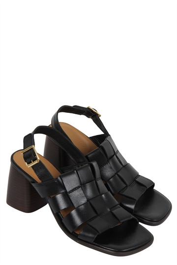 Angulus 5829 Black